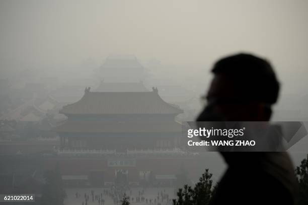 Wearing a face mask visits a park near the Forbidden City during heavy smog in Beijing on November 4, 2016.