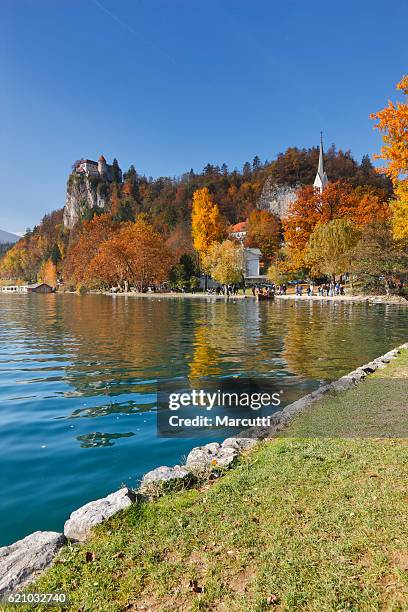 bled lake - julian stockfoto's en -beelden