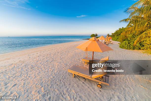 beautiful beach background for summer travel with sun,coconut tree and beach wooden bed on sand with beautiful blue sea and blue sky. summer mood sun beach background concept. - agua estancada fotografías e imágenes de stock