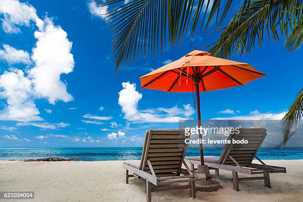 beautiful beach background for summer travel with sun,coconut tree and beach wooden bed on sand with beautiful blue sea and blue sky. summer mood sun beach background concept. - romantic sky stock pictures, royalty-free photos & images