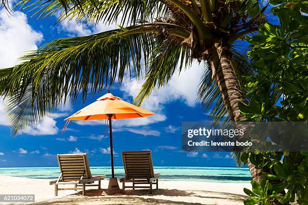 beautiful beach background for summer travel with sun,coconut tree and beach wooden bed on sand with beautiful blue sea and blue sky. summer mood sun beach background concept. - cocktail umbrella stock-fotos und bilder