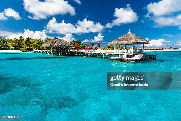 perfect tropical island paradise beach maldives. long jetty and a traditional boat dhoni. - watervliegtuig stockfoto's en -beelden