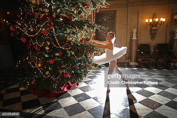 Ballet dancer Daisy Kerry, aged 17, from The Claire Dobinson School of Dance, poses for photographers as she recreates The Nutcracker in Chatsworth...