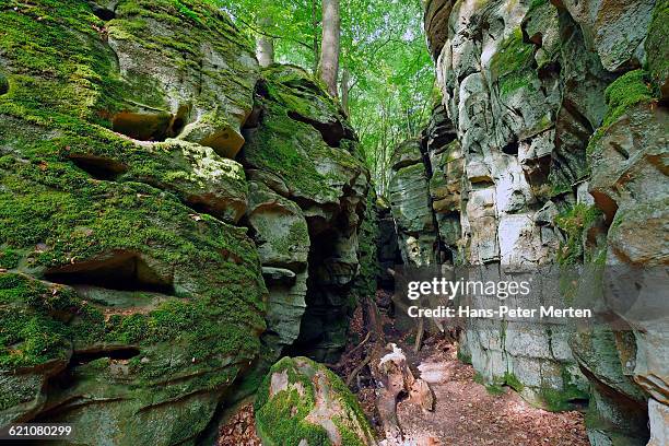 canon teufelsschlucht near ferschweiler, eifel - eifel stock pictures, royalty-free photos & images