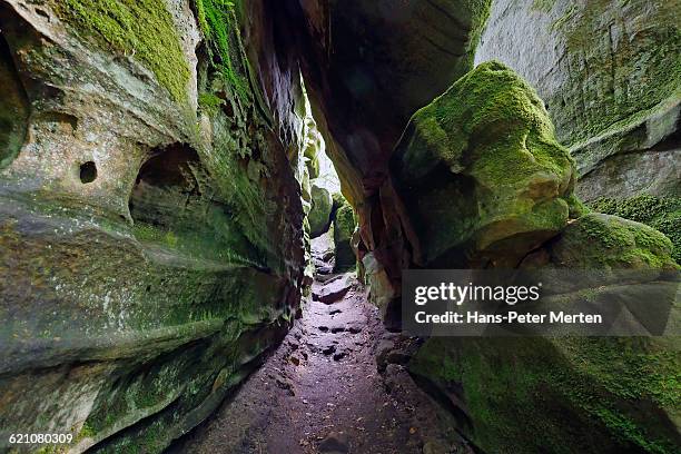 canon teufelsschlucht near ferschweiler, eifel - rhineland palatinate stockfoto's en -beelden