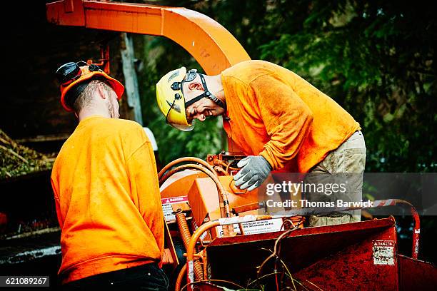 arborist and assistant setting up tree chipper - wood chipper stock pictures, royalty-free photos & images