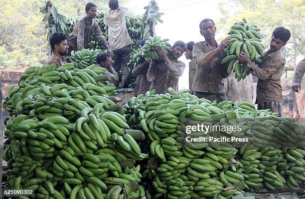 Laborers unload bananas from truck ahead of Hindu Vedic festival dedicated to the Hindu Sun God "Chhath Puja" at wholesale market Mundera Mandi.