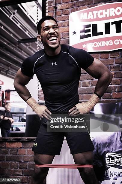 Heavyweight boxer Anthony Joshua training at Little Bassetts Farm gym, in Little Warley, Brentwood, UK.