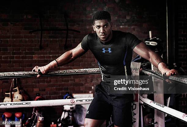 Heavyweight boxer Anthony Joshua training at Little Bassetts Farm gym, in Little Warley, Brentwood, UK.