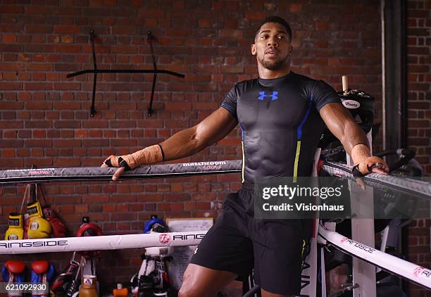 Heavyweight boxer Anthony Joshua training at Little Bassetts Farm gym, in Little Warley, Brentwood, UK.