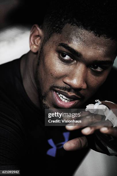 Heavyweight boxer Anthony Joshua training at Little Bassetts Farm gym, in Little Warley, Brentwood, UK.