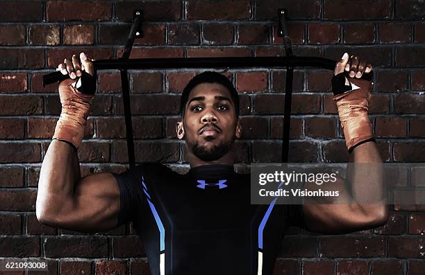 Heavyweight boxer Anthony Joshua training at Little Bassetts Farm gym, in Little Warley, Brentwood, UK.