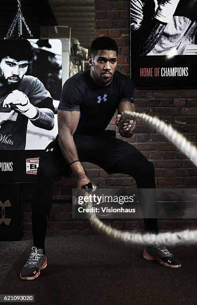 Heavyweight boxer Anthony Joshua training at Little Bassetts Farm gym, in Little Warley, Brentwood, UK.