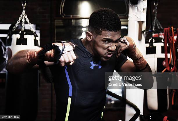 Heavyweight boxer Anthony Joshua training at Little Bassetts Farm gym, in Little Warley, Brentwood, UK.