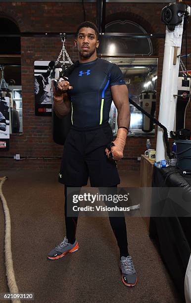 Heavyweight boxer Anthony Joshua training at Little Bassetts Farm gym, in Little Warley, Brentwood, UK.