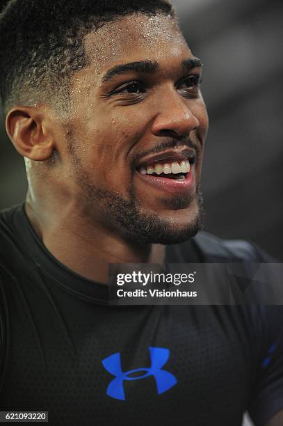 Heavyweight boxer Anthony Joshua training at Little Bassetts Farm gym, in Little Warley, Brentwood, UK.