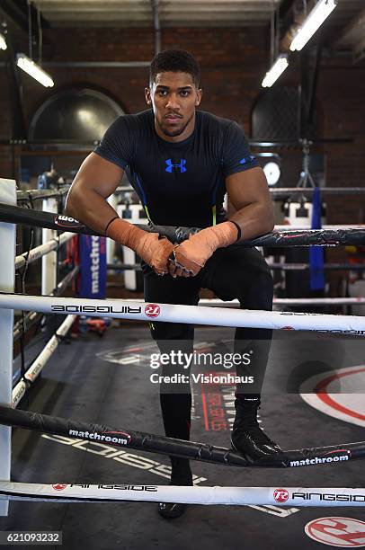 Heavyweight boxer Anthony Joshua training at Little Bassetts Farm gym, in Little Warley, Brentwood, UK.