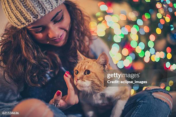 christmas cuddle - cat eye woman stock pictures, royalty-free photos & images