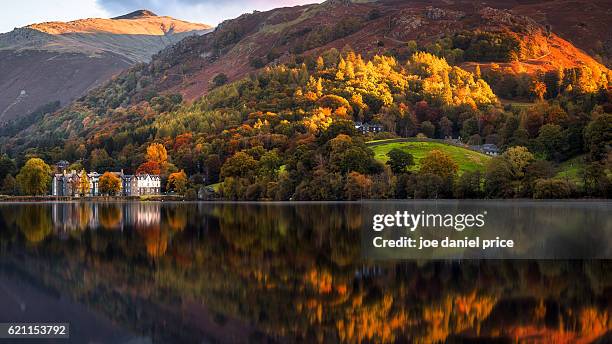 autumn, grasmere, lake district, cumbria, england - english lake district bildbanksfoton och bilder