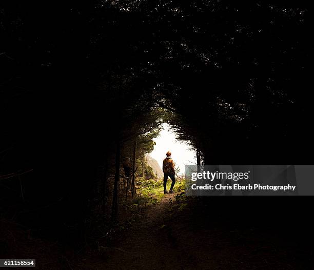 end of the tunnel - luce alla fine del tunnel foto e immagini stock