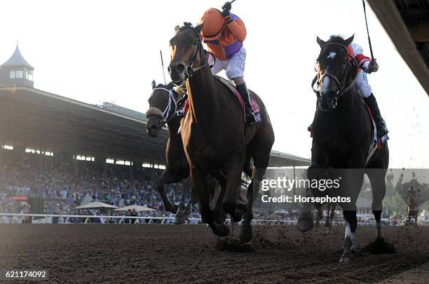 Beholder with Gary Stevens up outfinishes Songbird with Mike Smith up to win the Breeders' Cup Distaff at Santa Anita Race Track on November 4, 2016...