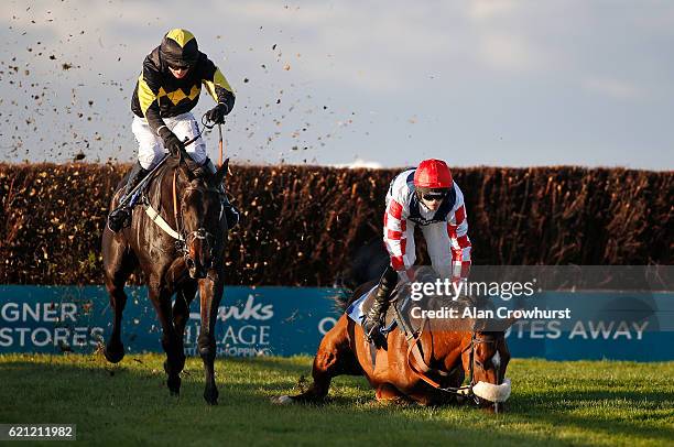 Tom O'Brien riding Gentleman Jon clear the last to win The Badger Ales Trophy Handicap Steeple Chase as Harry Cobden riding Southfield Theatre fall...