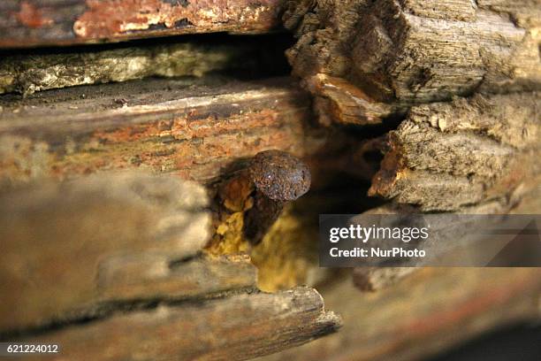 Maru Bravo Photos and Premium High Res Pictures - Getty Images