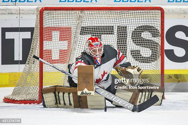 Goalie Barry Brust makes a stick save during the Deutschland Cup between Slovakia and Canada on 5 November, 2016 at Curt Frenzel Stadium in Augsburg,...