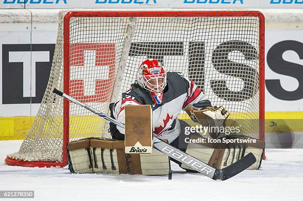 Goalie Barry Brust makes a stick save during the Deutschland Cup between Slovakia and Canada on 5 November, 2016 at Curt Frenzel Stadium in Augsburg,...