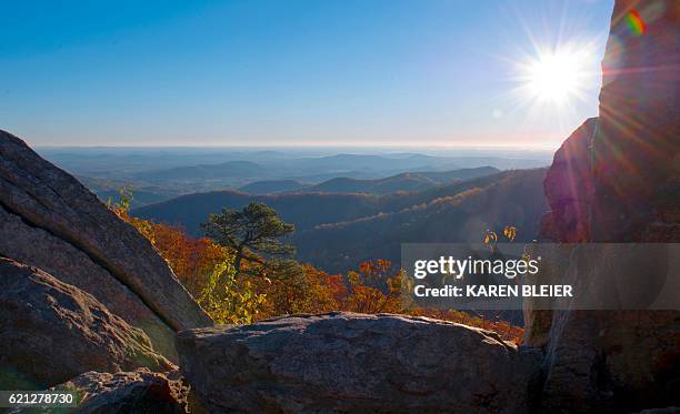 View out over the piedmont from Skyline Drive on a Fall day in the Shenandoah National Park in Virginia November 5, 2016. / AFP / Karen BLEIER