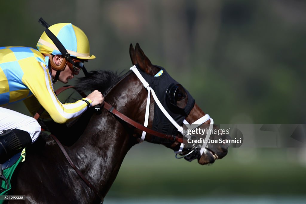 2016 Breeders' Cup World Championships - Day 2