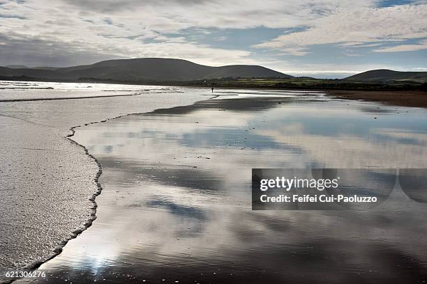 one person walking on the beach of waterville in ireland - fishing village stock pictures, royalty-free photos & images