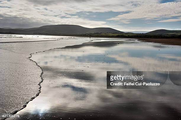 one person walking on the beach of waterville in ireland - fishing village 個照片及圖片檔