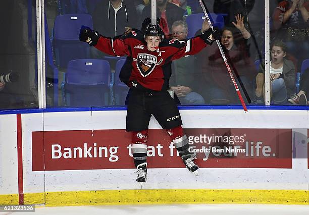 Ty Ronning of the Vancouver Giants celebrates his goal against the Lethbridge Hurricanes during the second period of their WHL game at the Langley...