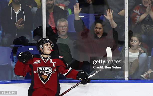 Ty Ronning of the Vancouver Giants celebrates his goal against the Lethbridge Hurricanes during the second period of their WHL game at the Langley...