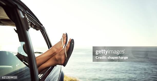 catching a quick nap - leg stock pictures, royalty-free photos & images