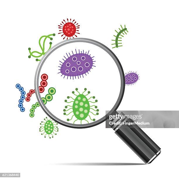 germs and magnifying glass - ebola stock illustrations