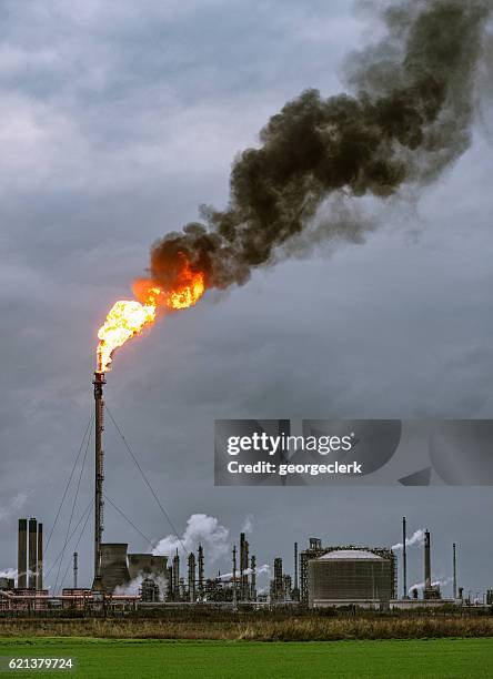 grande torchère pétrochimique et fumée - jet de flamme photos et images de collection