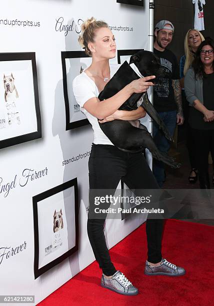 Actress Kaley Cuoco attends the 6th annual "Stand Up For Pits" at The Hollywood Improv on November 5, 2016 in Hollywood, California.