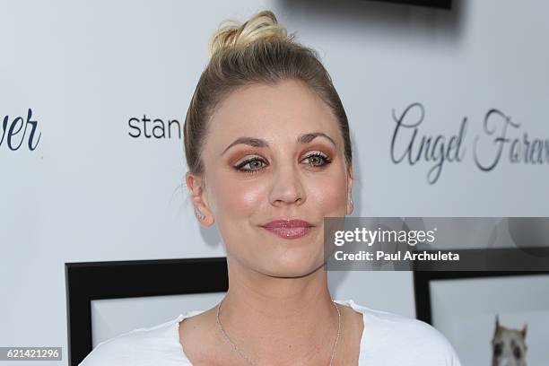 Actress Kaley Cuoco attends the 6th annual "Stand Up For Pits" at The Hollywood Improv on November 5, 2016 in Hollywood, California.