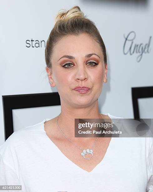 Actress Kaley Cuoco attends the 6th annual "Stand Up For Pits" at The Hollywood Improv on November 5, 2016 in Hollywood, California.