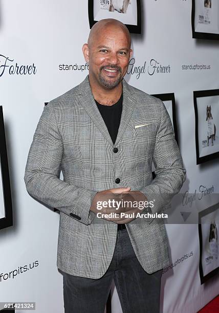 Actor Chris Williams attends the 6th annual "Stand Up For Pits" at The Hollywood Improv on November 5, 2016 in Hollywood, California.