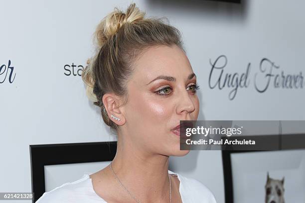 Actress Kaley Cuoco attends the 6th annual "Stand Up For Pits" at The Hollywood Improv on November 5, 2016 in Hollywood, California.