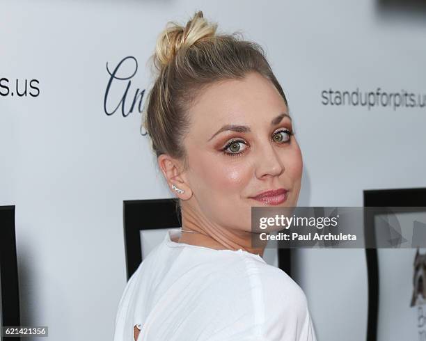 Actress Kaley Cuoco attends the 6th annual "Stand Up For Pits" at The Hollywood Improv on November 5, 2016 in Hollywood, California.