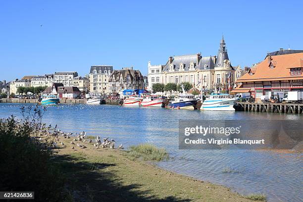 trouville sur mer, normandy on a sunny day. 07 september 2016 - trouville sur mer 個照片及圖片檔