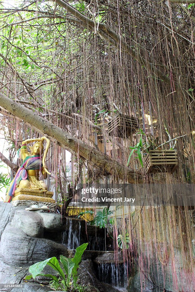 Golden statue and weeping willow Wat Saket temple Bangkok Thailand