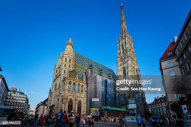 st. stephen's cathedralof vienna, austria - centro de viena imagens e fotografias de stock