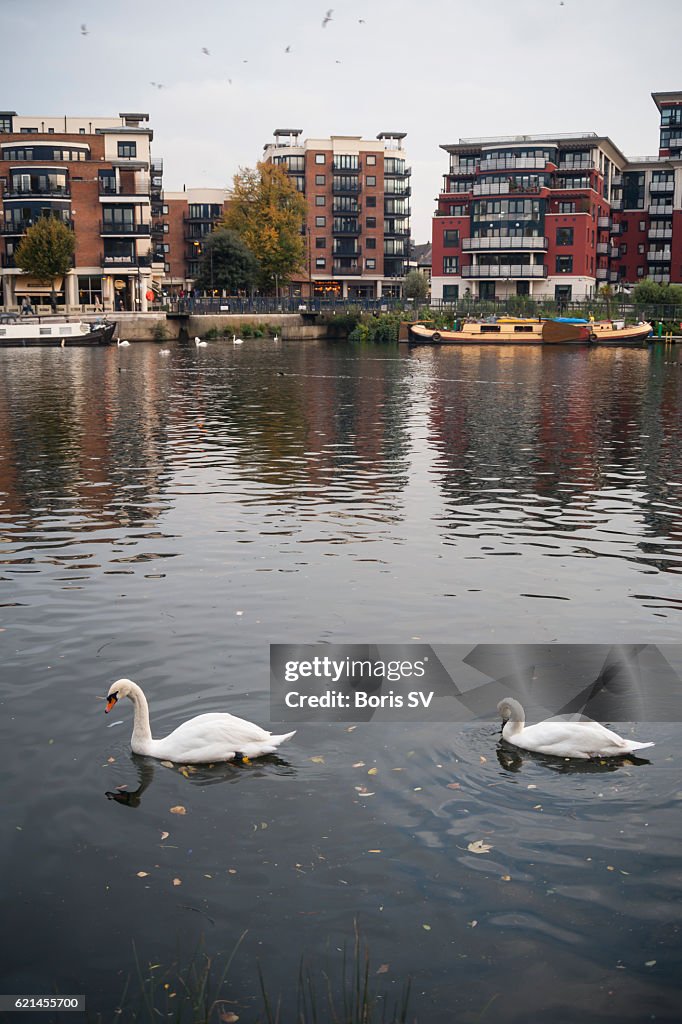 View of Kingston upon Thames from the riverbank, England