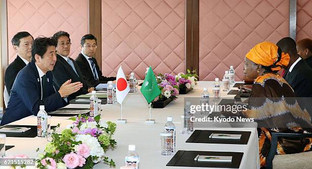 Japan - Nkosazana Dlamini Zuma , chairwoman of the African Union Commission, and Japanese Prime Minister Shinzo Abe meet in Yokohama near Tokyo on...