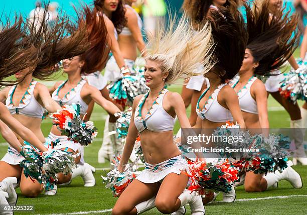 Miami Dolphins cheerleaders perform on the field during the NFL football game between the New York Jets and the Miami Dolphins on November 6 at the...